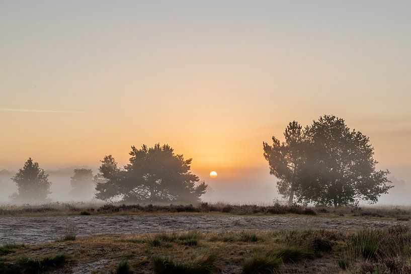 Zonsopkomst van Hans-Peter Nouwen