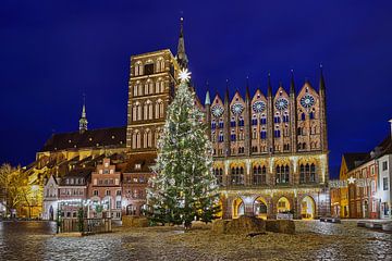 Stralsunder Alter Markt mit beleuchtetem Weihnachtsbaum vor dem Rathaus in der Nacht von Stefan Dinse