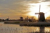 Drei Mühlen am Hoornse Vaart in Alkmaar von Ronald Smits Miniaturansicht