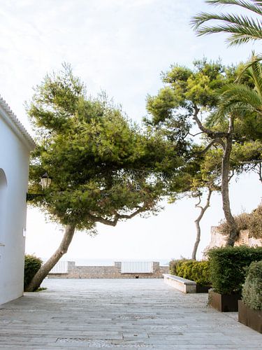 Ibiza | Sunrise in Ibiza Old Town, Spain