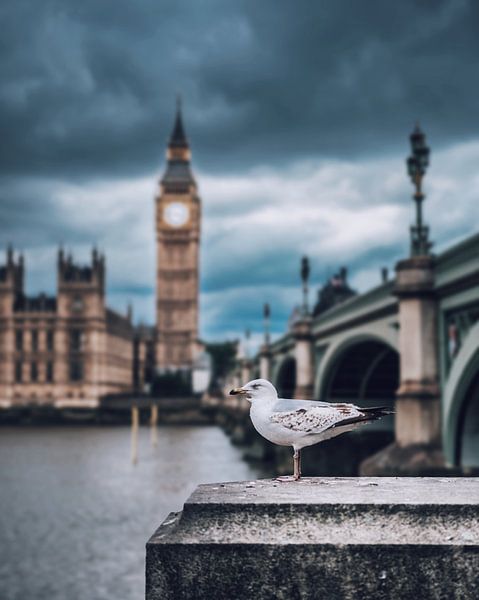 London von Hello Pompoyo