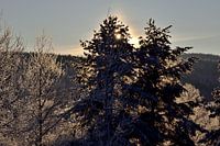 Achtergrondverlichting
