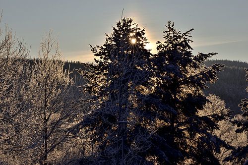 Achtergrondverlichting
