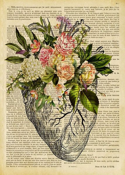 anatomie van het menselijk hart van Steven Kingsbury