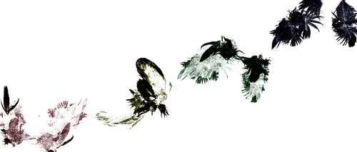 Fly sur Erik Roger