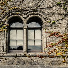 Fenster mit Kletterpflanzen vor einem verfallenen und baufälligen Schloss von Art By Dominic