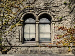 Fenster mit Kletterpflanzen vor einem verfallenen und baufälligen Schloss