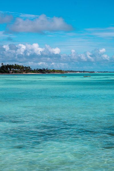 Tropical Zanzibar by Lisette van Leeuwen