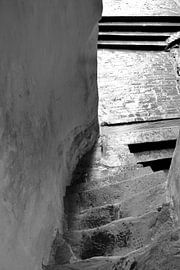 Daily life by JRobert Photography