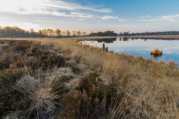 Large heathland in Achel by Easycopters