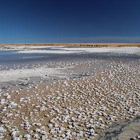 Salt crystals Altiplano Bolivia by A. Hendriks