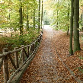 Park Sonsbeek in de herfst van Petra Dielman