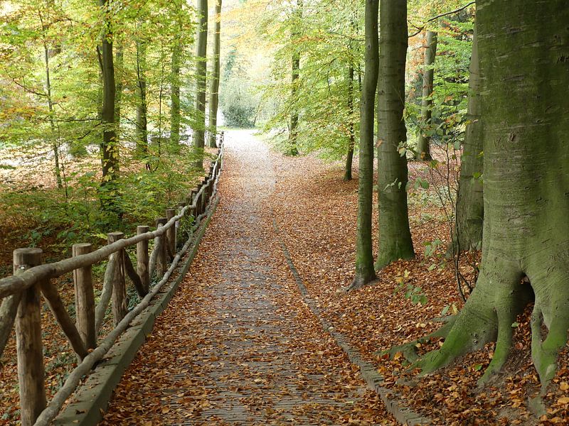 Park Sonsbeek in de herfst von Petra Dielman