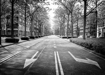 Empty Avenue Céramique during the lockdown in 2020 by Streets of Maastricht