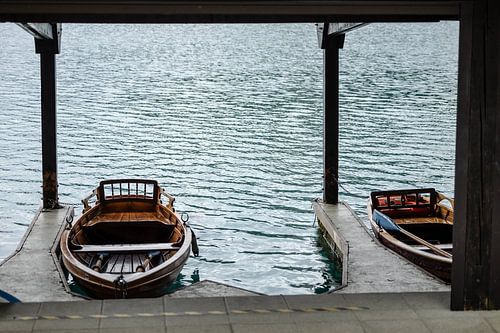 Bateaux à rames au lac de Bled en Slovénie