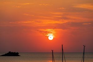 Trekvogels voor de ondergaande zon over de zee van Tilo Grellmann