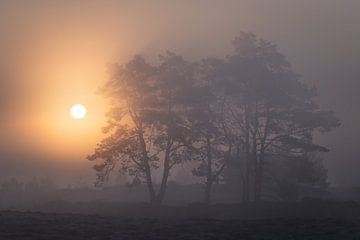 Nebliger Sonnenaufgang