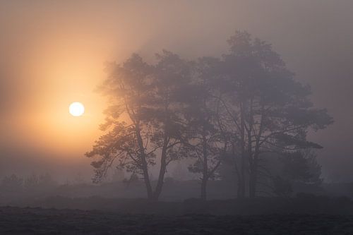 Lever de soleil brumeux