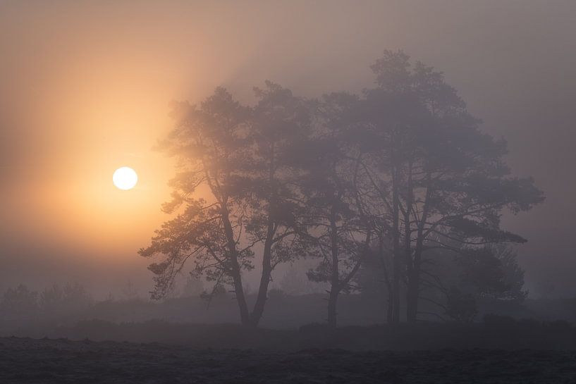 Nebliger Sonnenaufgang von Ben Verhoeven