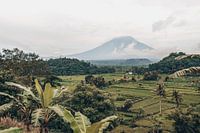 Paradijselijk Uitzicht: Rijstvelden en Mount Agung in Betoverend Bali