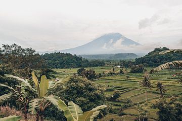 Vues du paradis : Rizières et Mont Agung dans l'enchanteresse Bali sur Troy Wegman