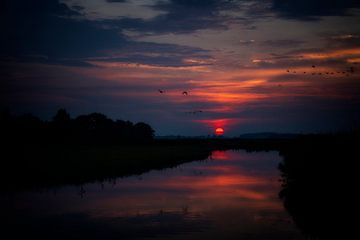 Die Sonne geht auf, wie ein roter Ball über dem Horizont von Hans de Waay