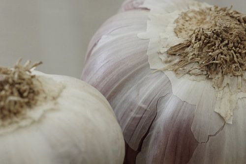 Garlic bol