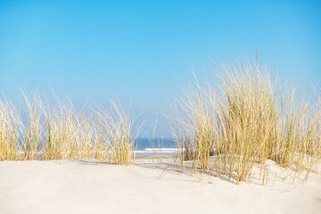 Dunes on Schiermonnikoog by Ron van der Stappen
