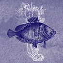 Delft Blue Sunfish by Jadzia Klimkiewicz thumbnail