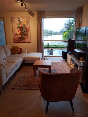 Paon abstrait - coloré