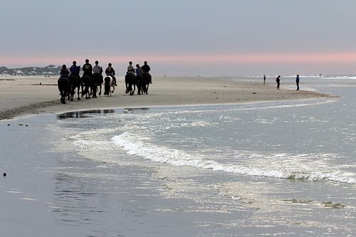 Terschelling, paarden op het strand in de avond - 1