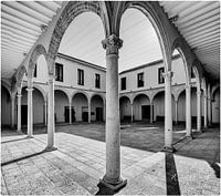 Straight and curved lines in symmetry