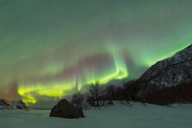 Nordlicht über einem zugefrorenen See in einer verschneiten Winterlandschaft auf den Lofoten von Sjoerd van der Wal Fotografie