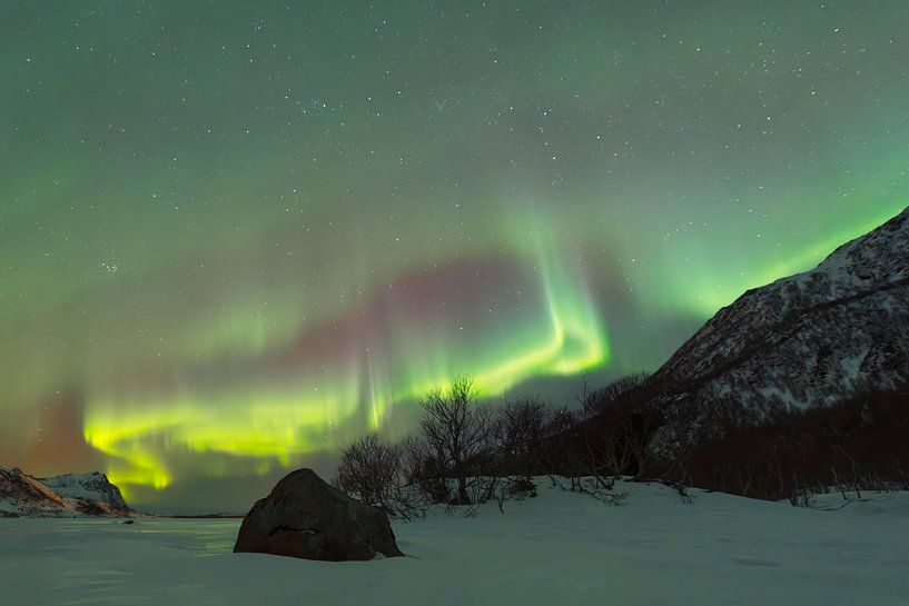 Aurore boréale sur un lac gelé dans un paysage hivernal enneigé des Lofoten par Sjoerd van der Wal Photographie