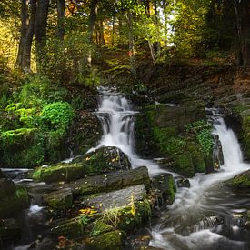 Selke watervallen in de Harz van Steffen Gierok