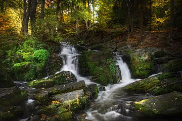 Selke watervallen in de Harz