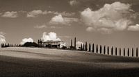 Belvedere in the light