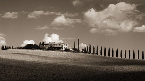 Belvedere in het licht