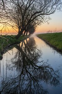 Spiegelung bei nebligem Sonnenaufgang