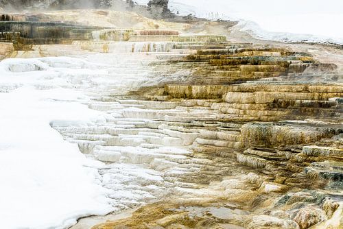 Vulkanische rotsstructuren Yellowstone