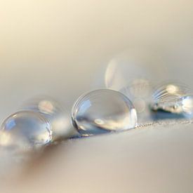 Balance by Carla Mesken-Dijkhoff