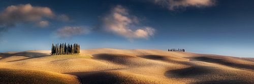 Zonnig landschap met velden en heuvels in Toscane