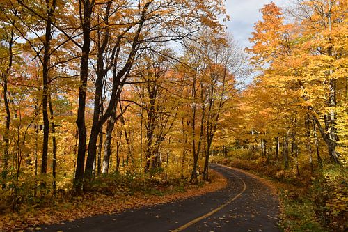 Een landweggetje in de herfst