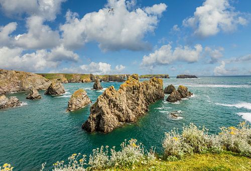 Kust bij de Port de Goulphar bij Bangor, Belle-Ile-en-Mer, Bretagne