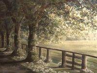 Spring - morning mood