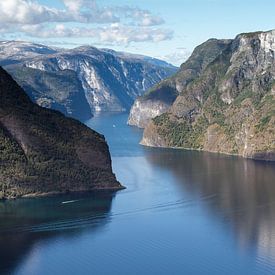 Blick in Norwegen über die Fjorde. von Martina van Raad