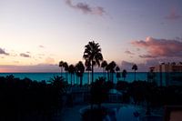 Urlaubsgefühl mit Palmen auf Mallorca, Spanien.