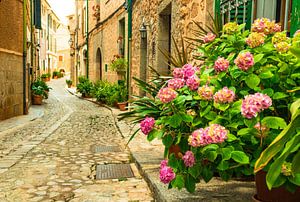 Blumenstraße in Fornalutx, berühmtes Wahrzeichen auf der Insel Mallorca, Spanien