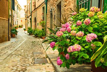 Bloemen straat in Fornalutx, bekende bezienswaardigheid op het eiland Mallorca, Spanje van Alex Winter