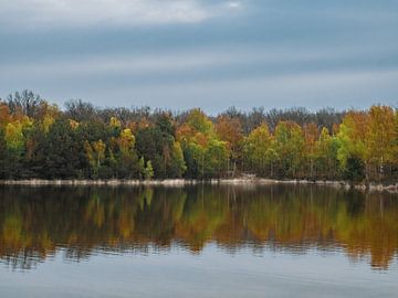 Frühling von snippephotography